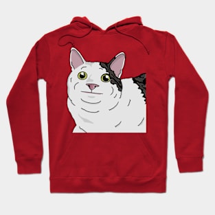 Polite Cat Hoodie